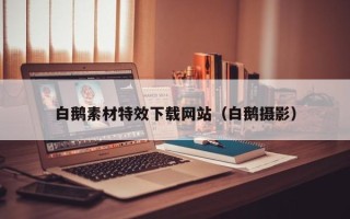 邯郸白鹅素材特效下载网站（白鹅摄影）